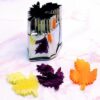 Stainless Steel Cutter - Leaf