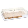 289 Display Case GN 1/1