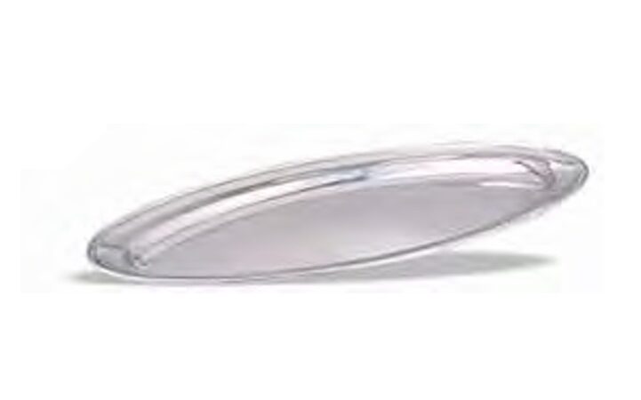 Puajdas Fish tray Stainless Steel Fish Display Tray, 70 cm