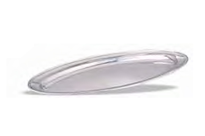 Puajdas Fish tray Stainless Steel Fish Display Tray, 70 cm