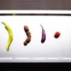 Stainless Steel Rectangular Display Tray 65x53 cm