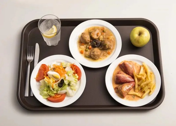 Plastic Rectangular Brown Tray 35x27 cm